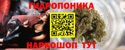 spice Вязьма