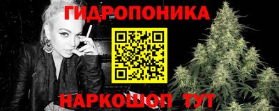 spice Вязьма