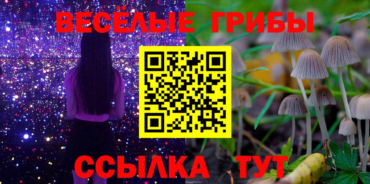 Галлюциногенные грибы Magic Shrooms  Псилоцибиновые грибы Cubensis  Вход с VPN  Елец 